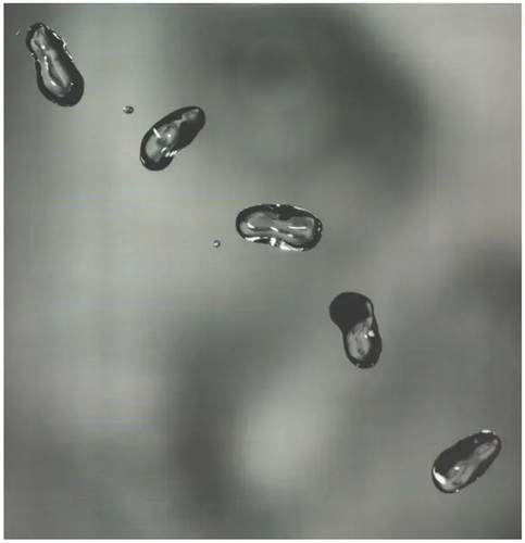 Peter gabriel 2xlp vinile - up,